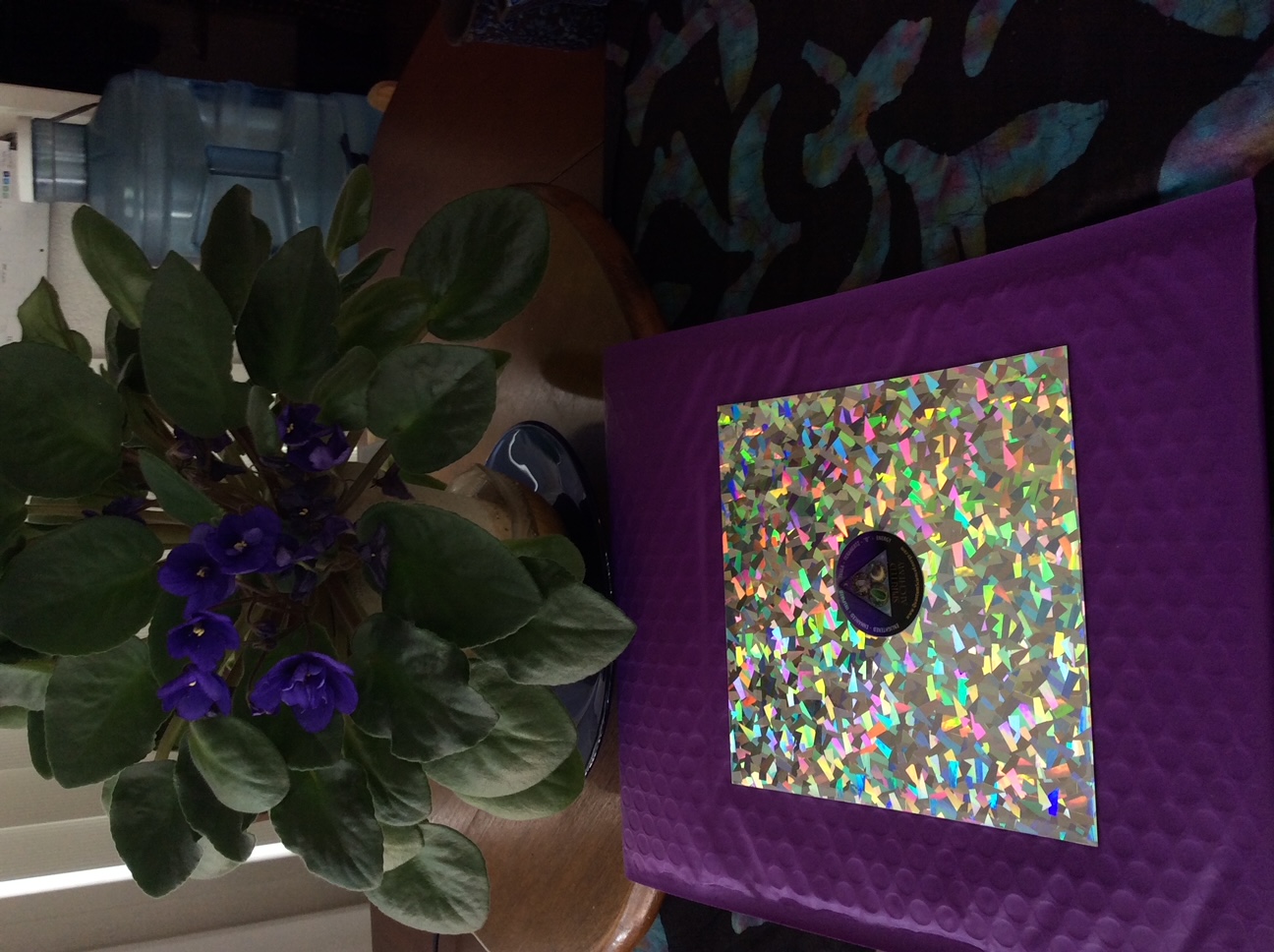 Holographic Tesla Terahertz Water Pad