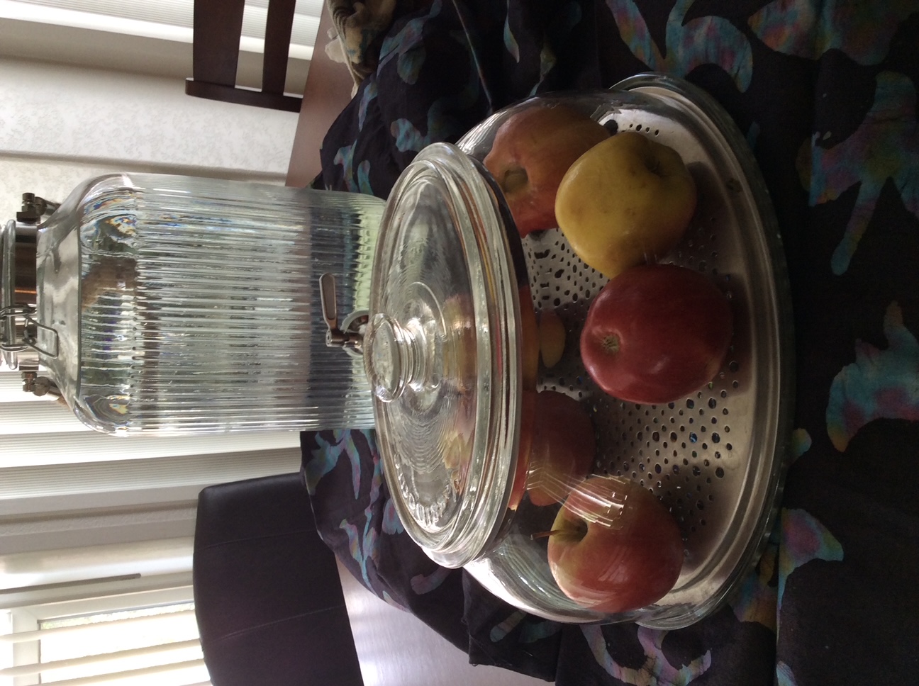 Holographic Tesla Terahertz Water Pad