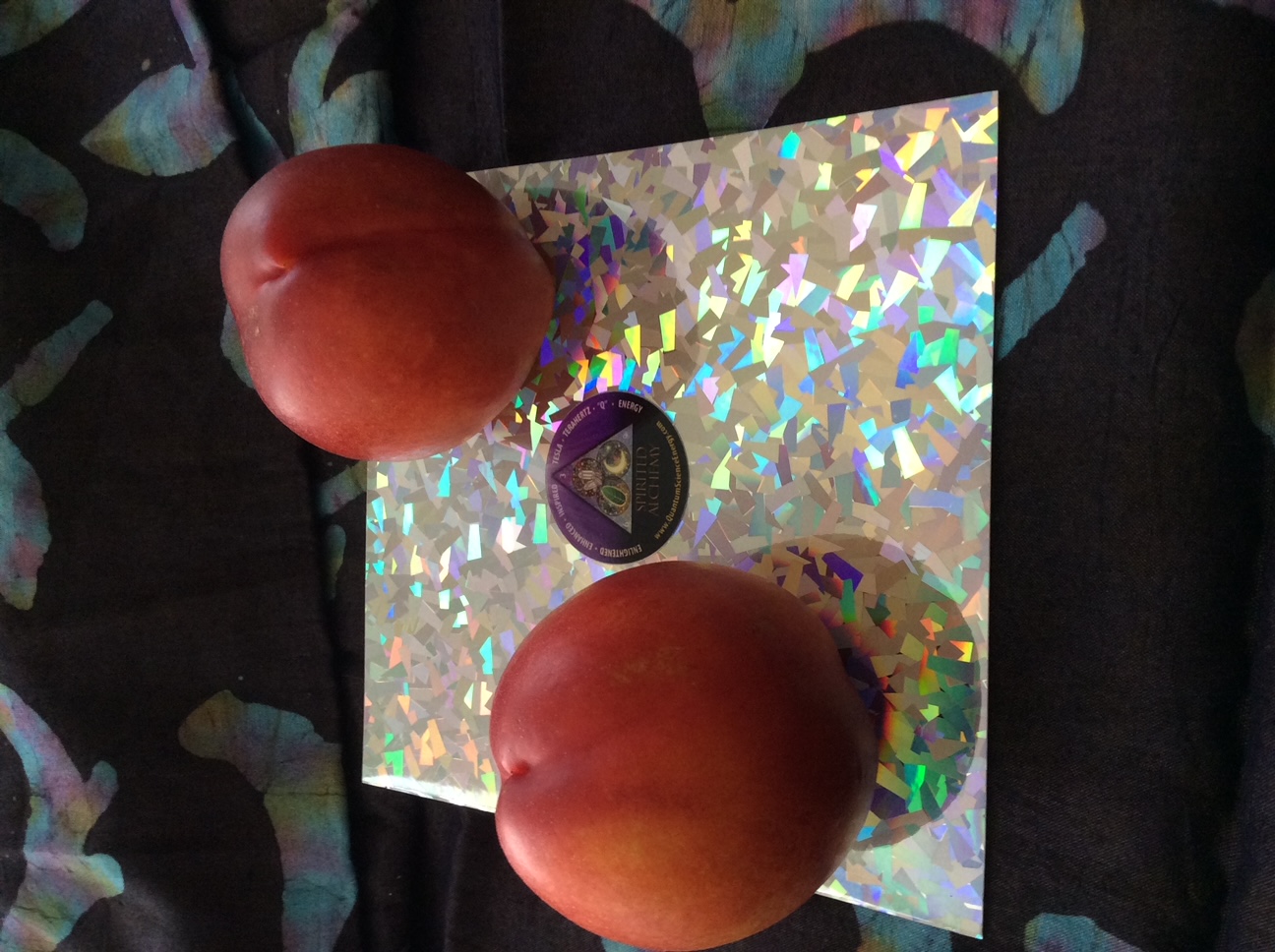 Holographic Tesla Terahertz Water Pad